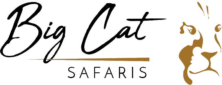 Big Cat Safaris