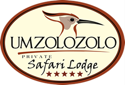 logo-1